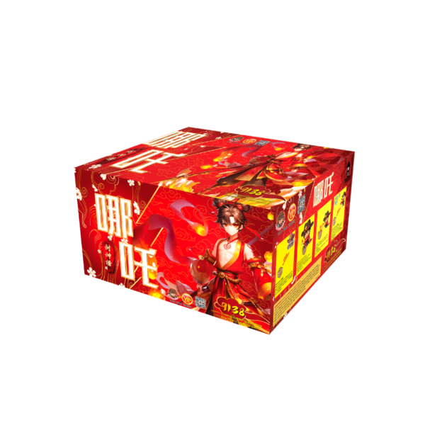 9寸138发盆花 Y - 哪吒 | 9'138 SHOOT CAKE Y- NA ZA